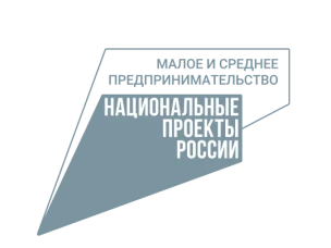 Социальным предпринимателям Нижегородской области бесплатно разработают веб-сайты