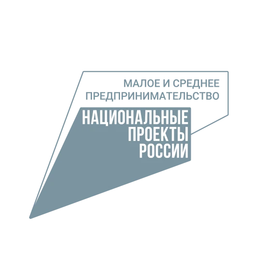 Социальным предпринимателям Нижегородской области бесплатно разработают веб-сайты