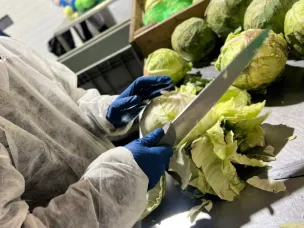 Нижегородский изготовитель консервированной продукции присоединился к федеральному проекту «Производительность труда»