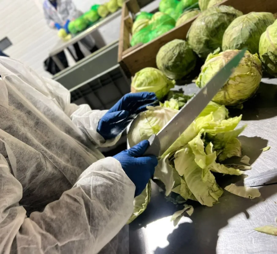 Нижегородский изготовитель консервированной продукции присоединился к федеральному проекту «Производительность труда»