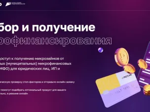    Более 320 млн рублей микрозаймов получили нижегородские предприниматели через сервис МСП.РФ в 2024 году