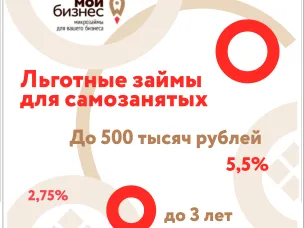 Самозанятые Нижегородской области смогут получить льготные микрозаймы по ставке 2,75% годовых